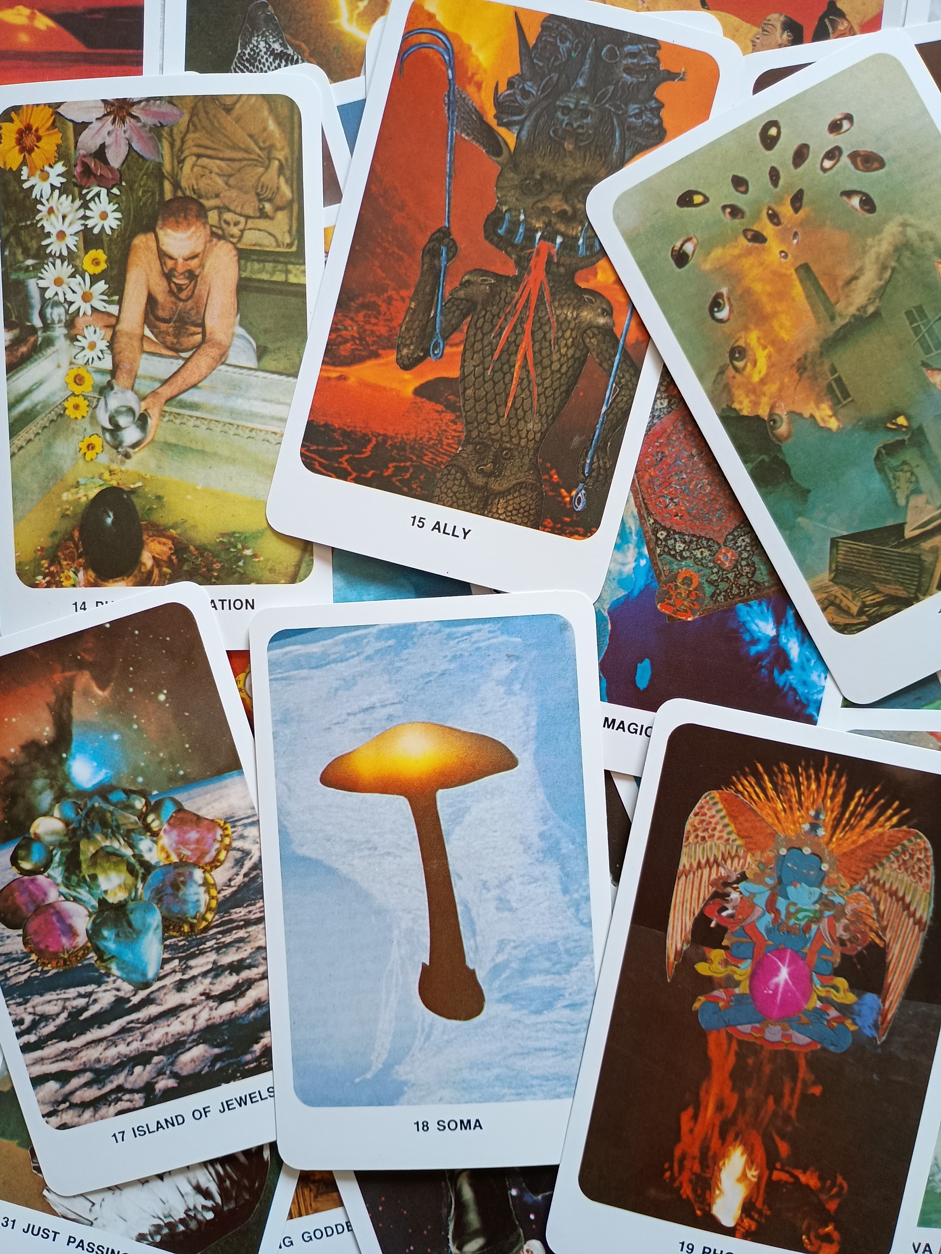 Tarot WhatsApp